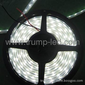 IP65 waterproof 240leds/M led strip smd 3528